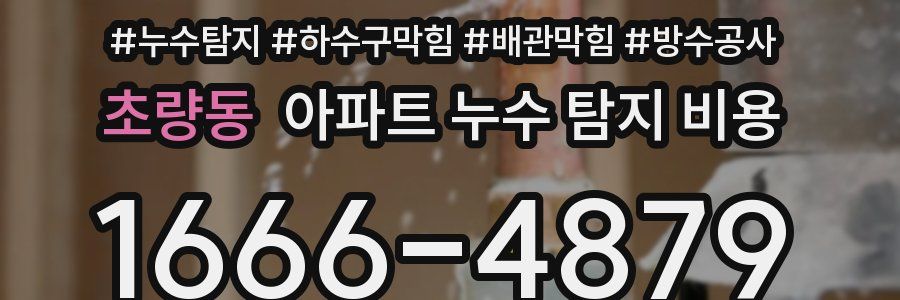 초량동 아파트 누수 탐지 비용