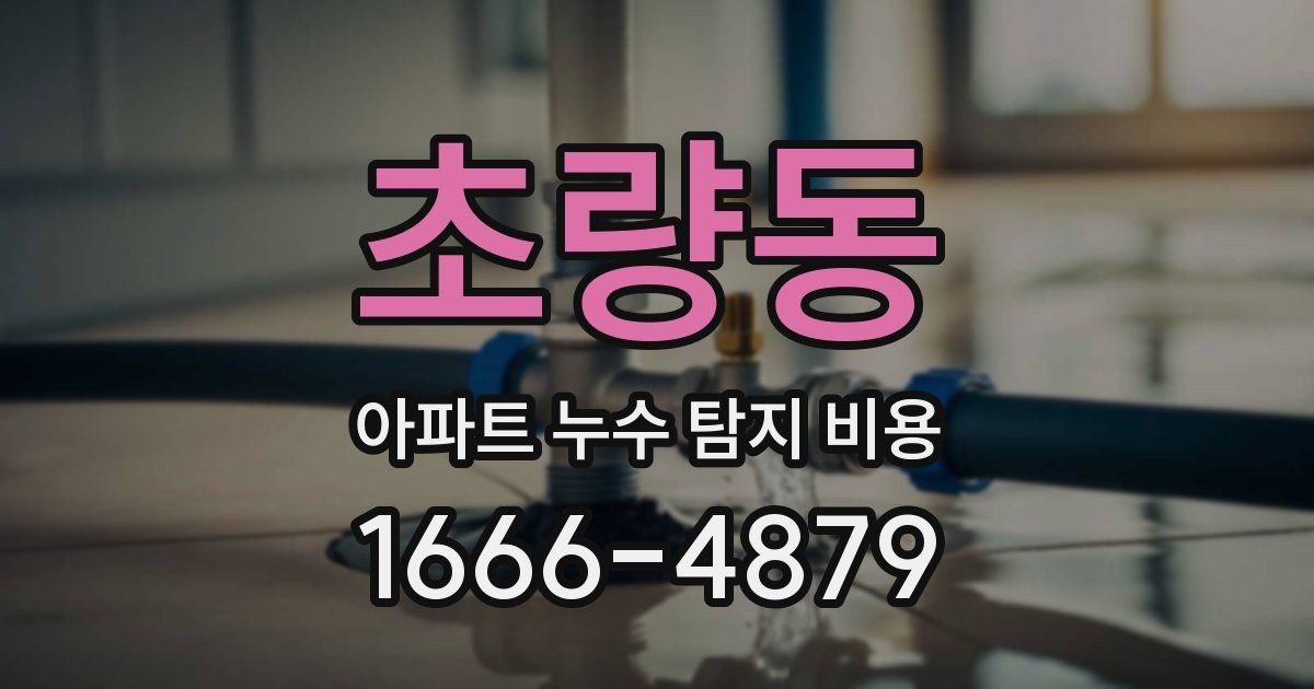 초량동 아파트 누수 탐지 비용
