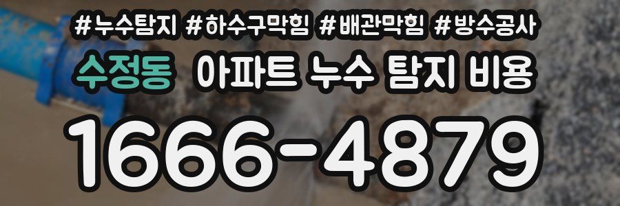 수정동 아파트 누수 탐지 비용
