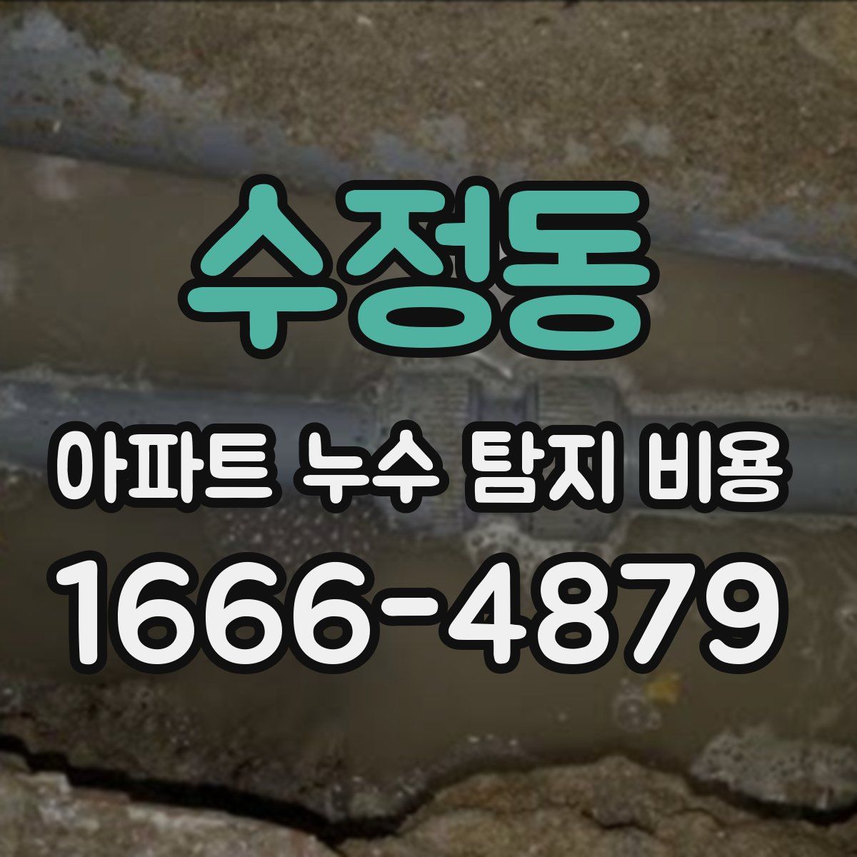 수정동 아파트 누수 탐지 비용