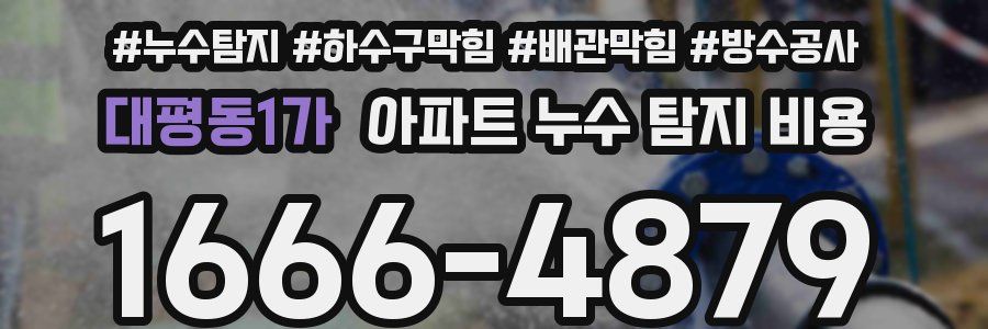 대평동1가 아파트 누수 탐지 비용