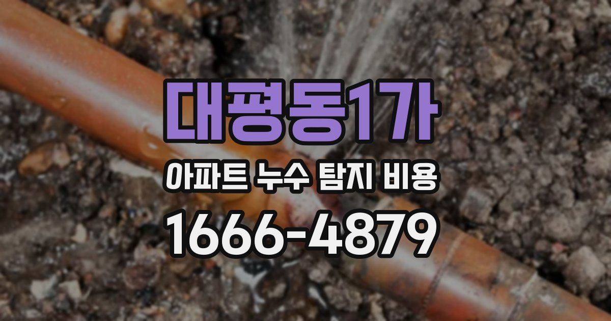 대평동1가 아파트 누수 탐지 비용