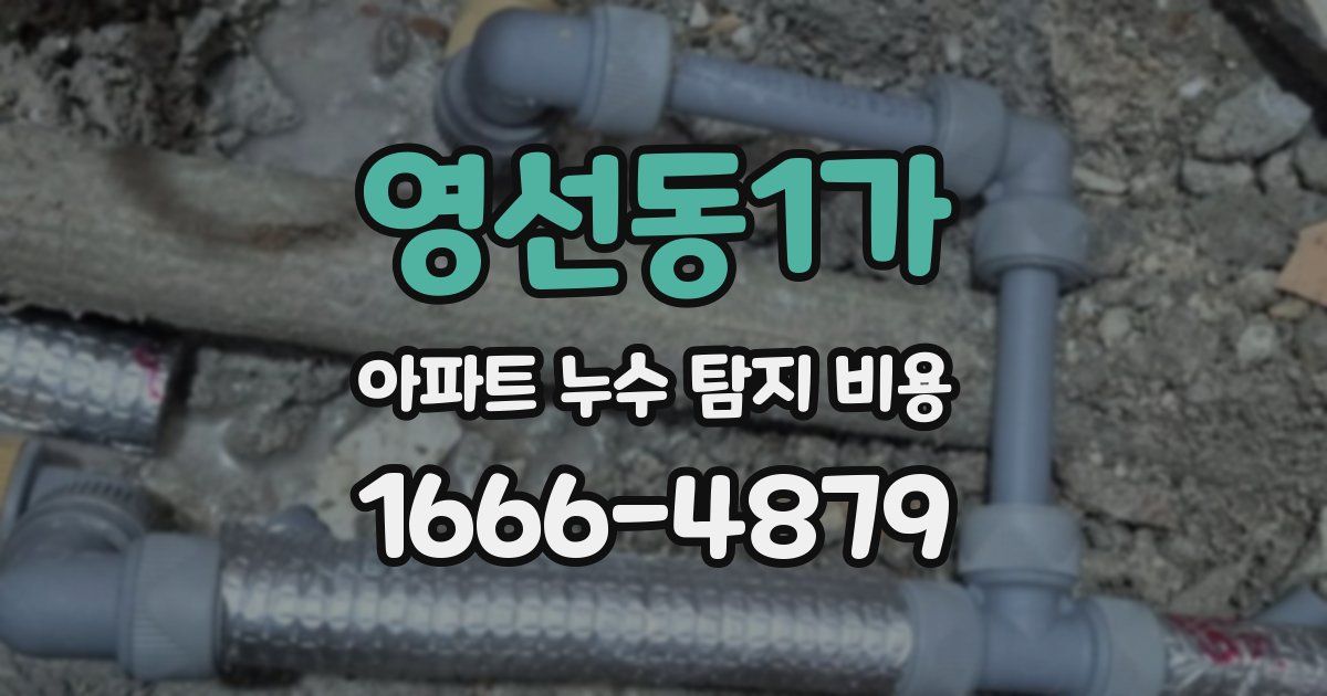 영선동1가 아파트 누수 탐지 비용