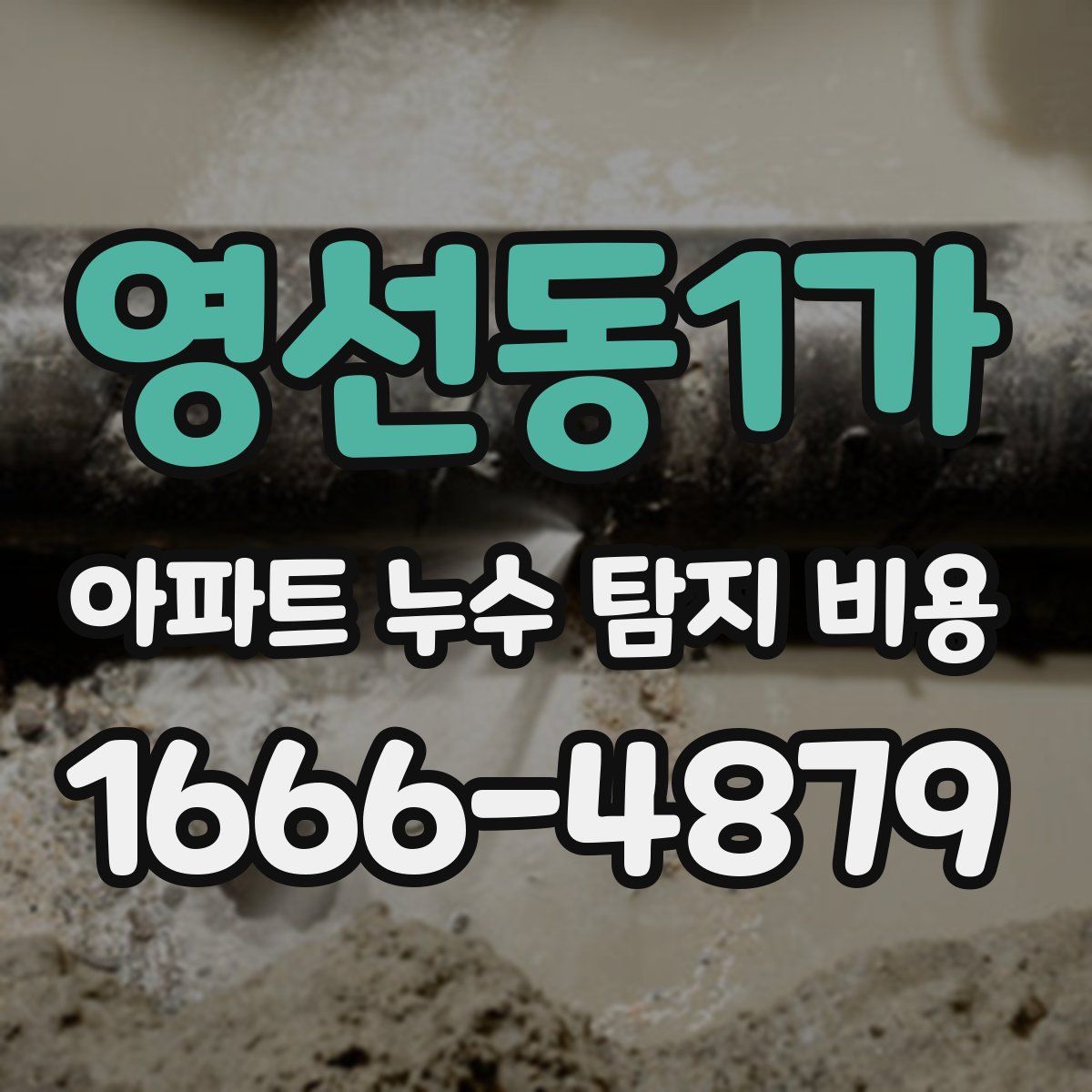 영선동1가 아파트 누수 탐지 비용