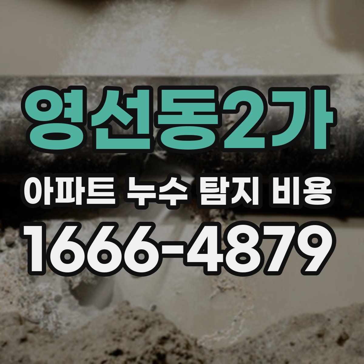 영선동2가 아파트 누수 탐지 비용