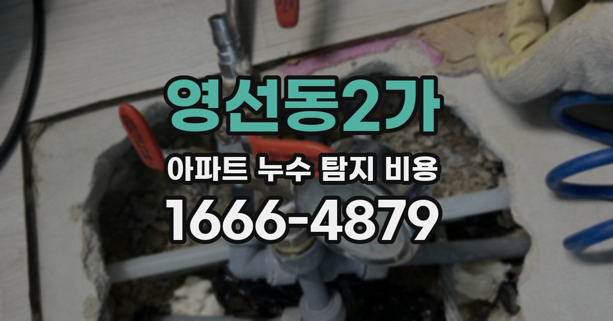 영선동2가 아파트 누수 탐지 비용