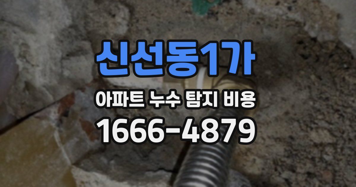 신선동1가 아파트 누수 탐지 비용