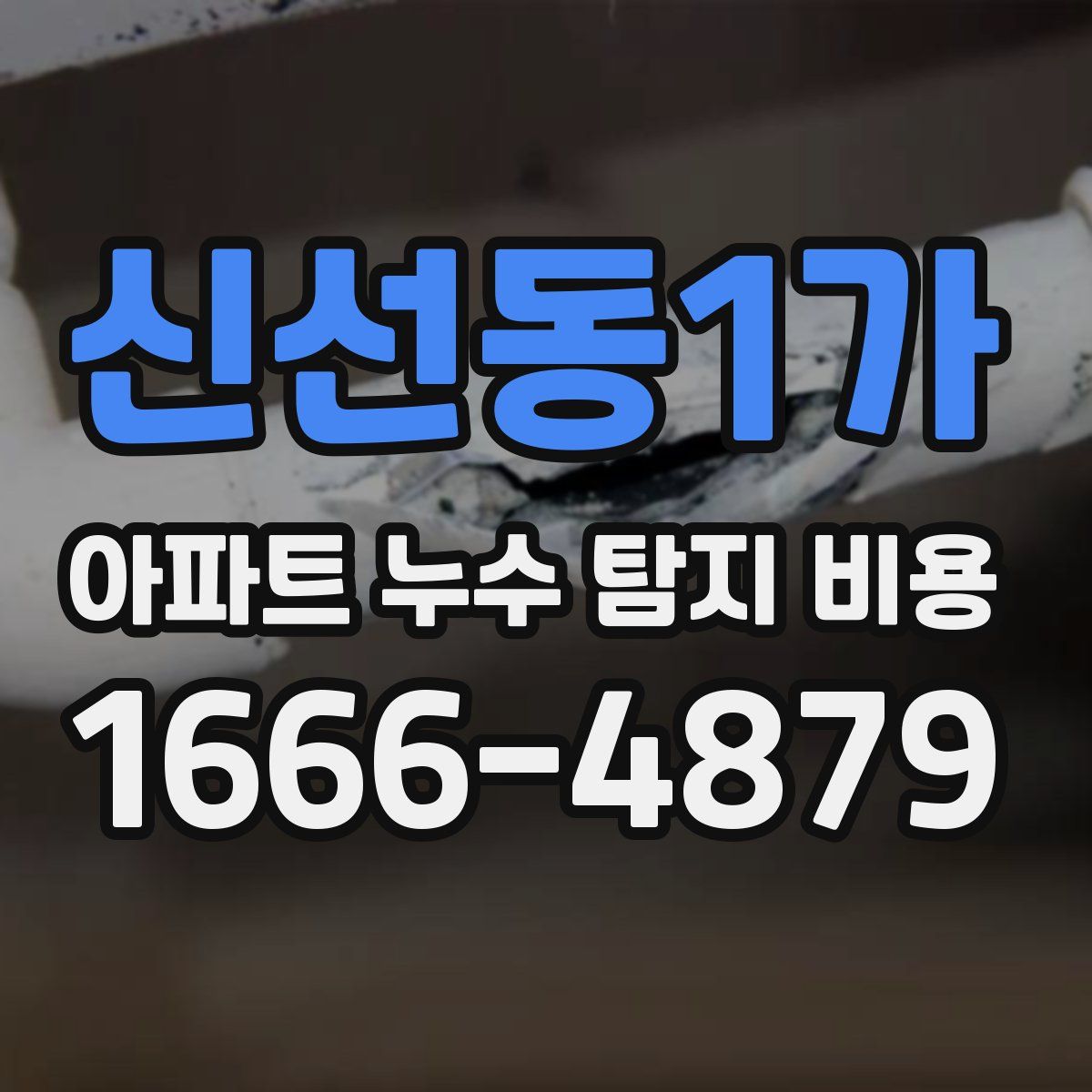 신선동1가 아파트 누수 탐지 비용