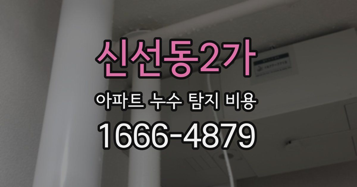 신선동2가 아파트 누수 탐지 비용