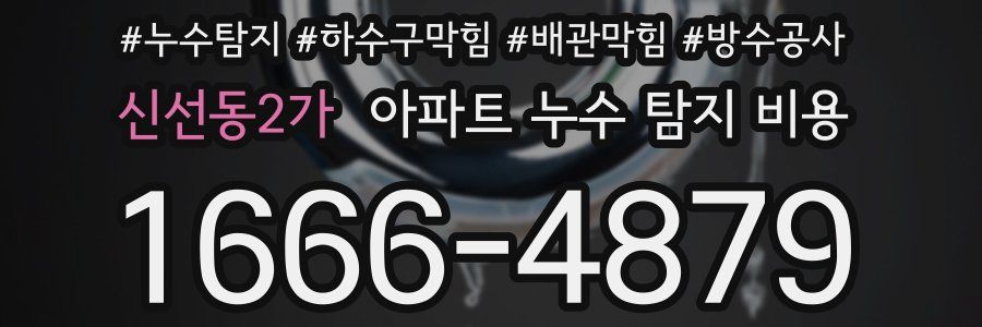 신선동2가 아파트 누수 탐지 비용
