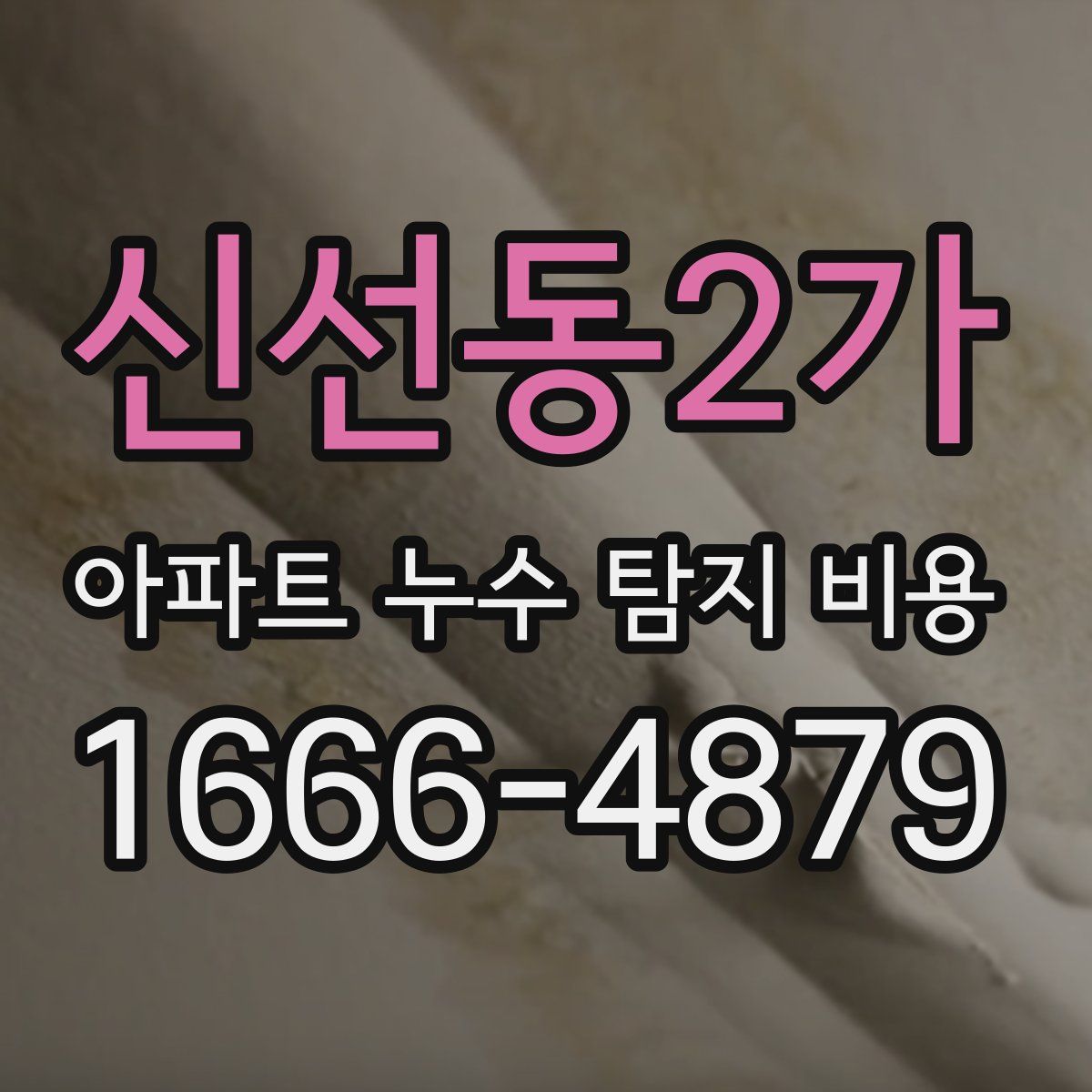 신선동2가 아파트 누수 탐지 비용