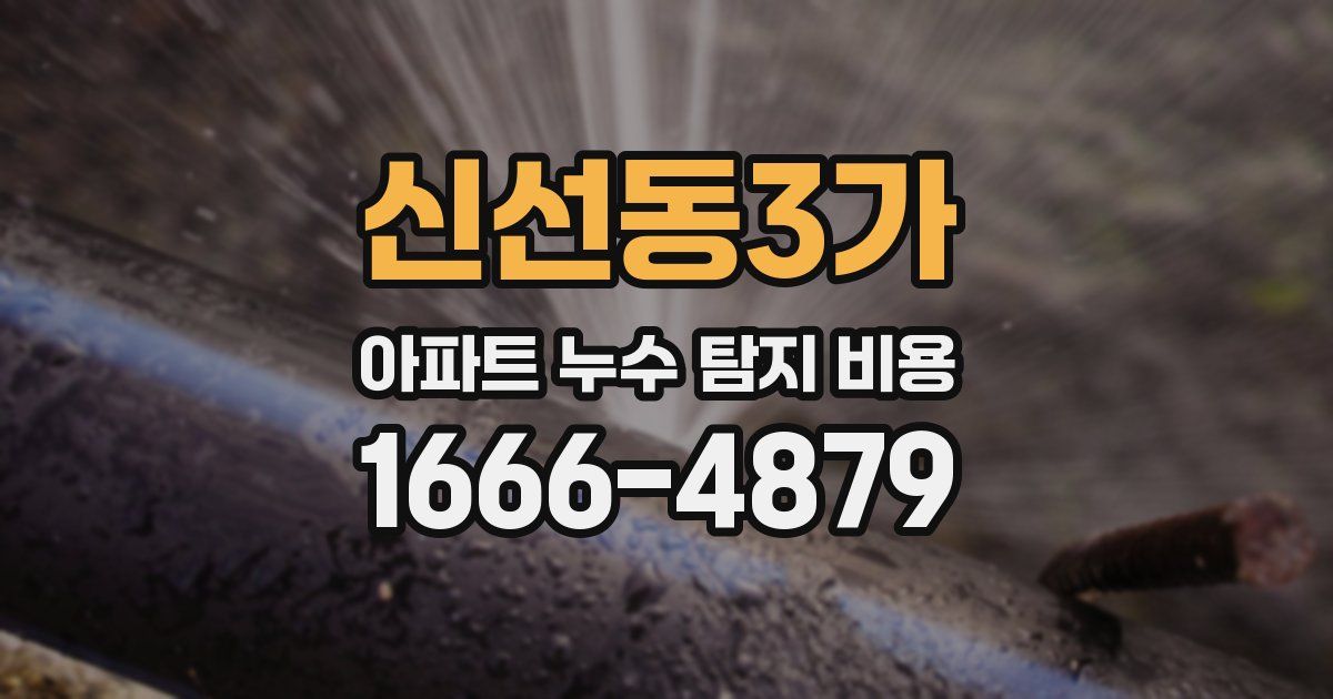 신선동3가 아파트 누수 탐지 비용