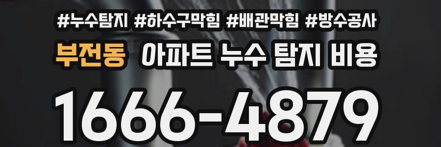 부전동 아파트 누수 탐지 비용