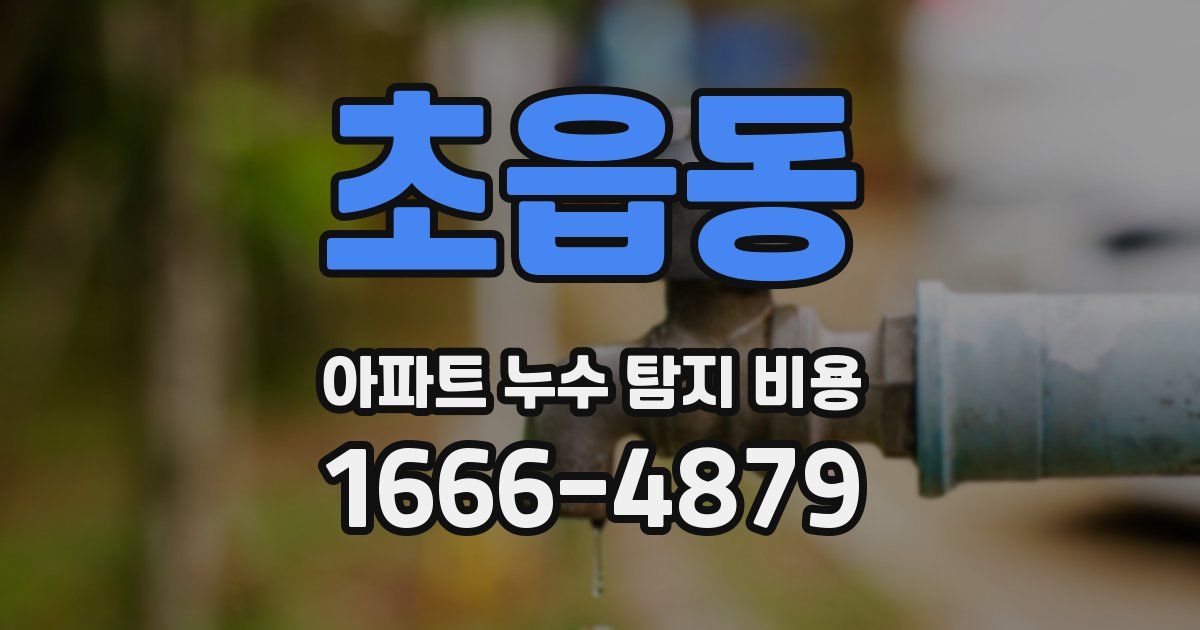 초읍동 아파트 누수 탐지 비용