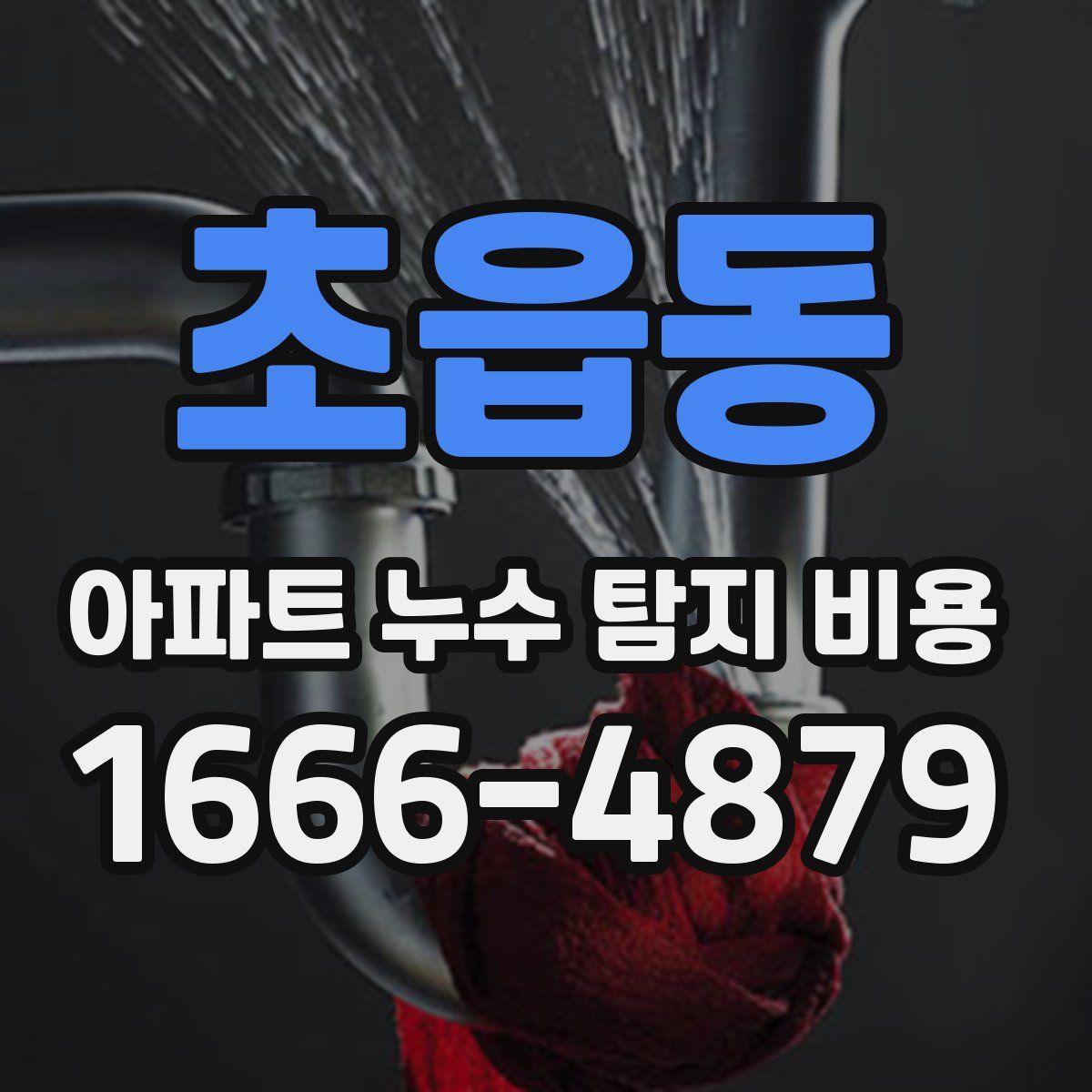 초읍동 아파트 누수 탐지 비용