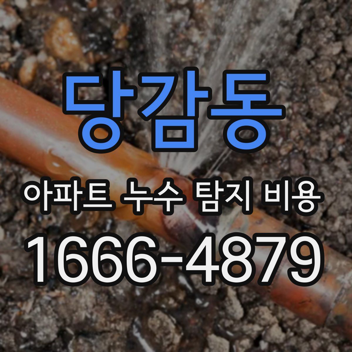 당감동 아파트 누수 탐지 비용