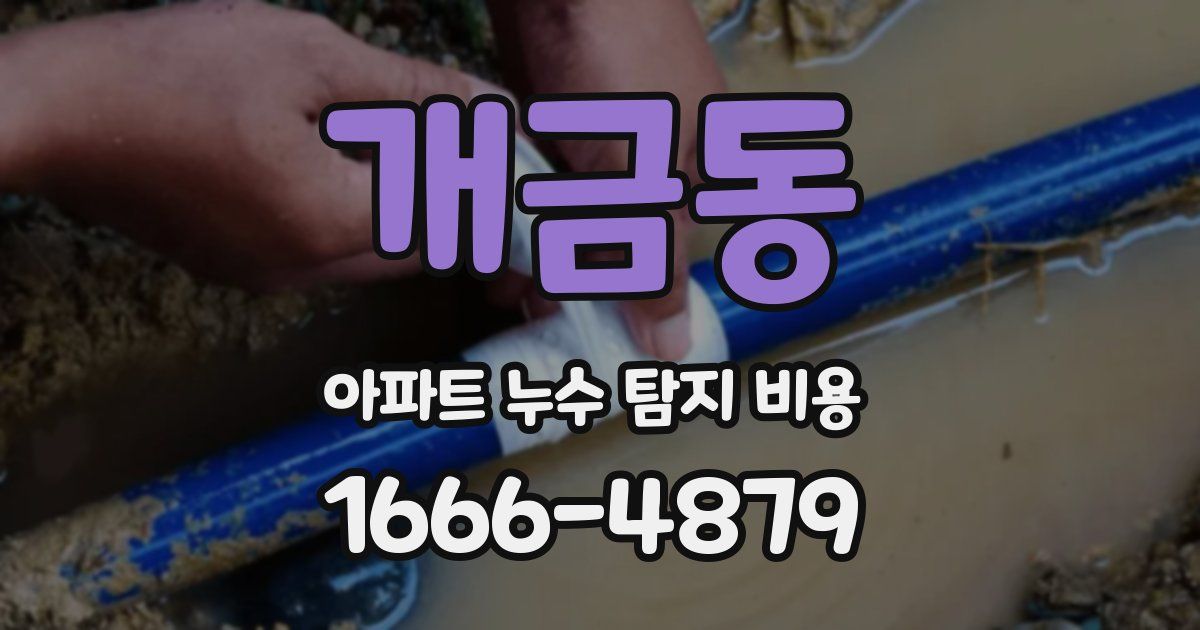 개금동 아파트 누수 탐지 비용