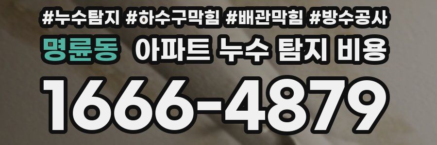 명륜동 아파트 누수 탐지 비용
