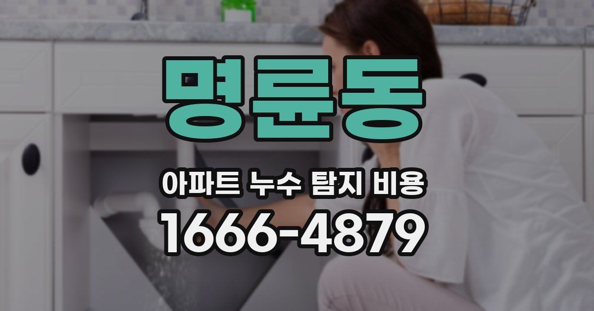 명륜동 아파트 누수 탐지 비용