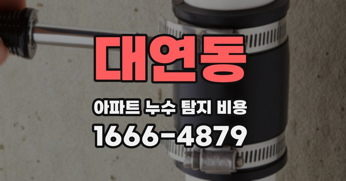 대연동 아파트 누수 탐지 비용