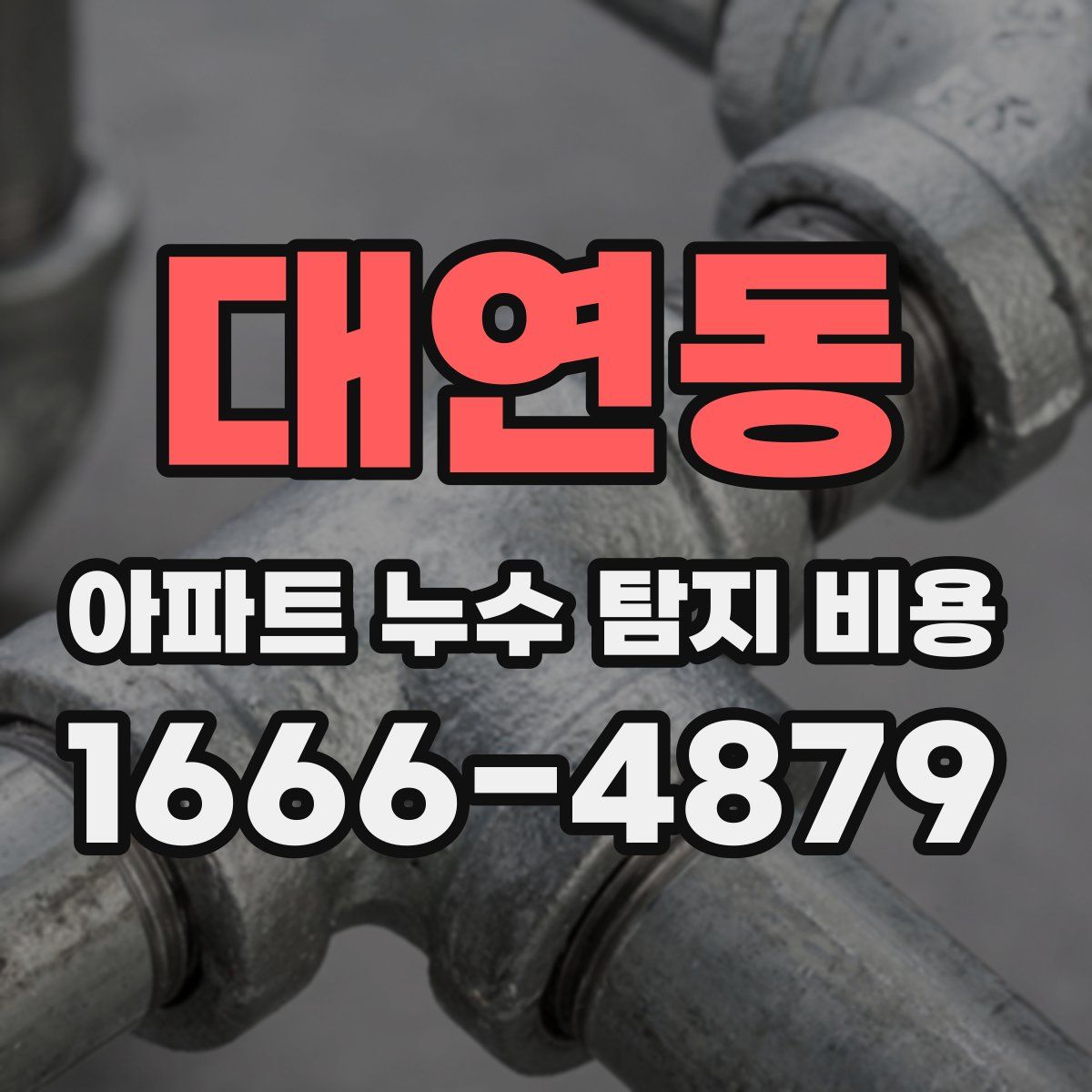대연동 아파트 누수 탐지 비용