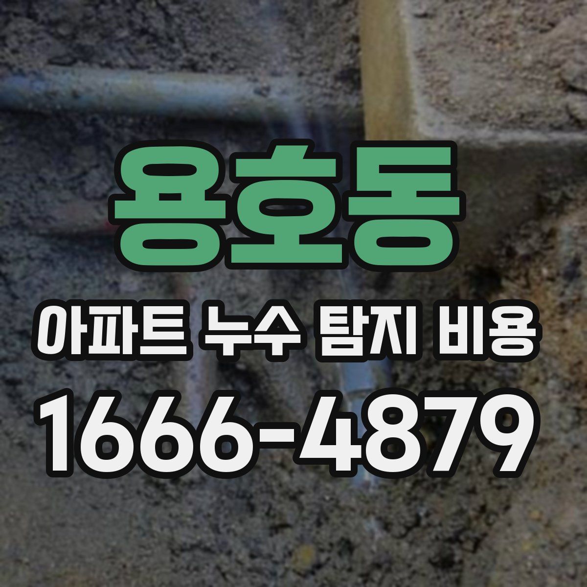 용호동 아파트 누수 탐지 비용
