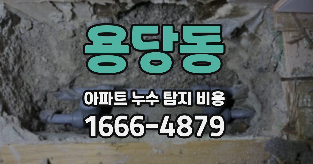 용당동 아파트 누수 탐지 비용