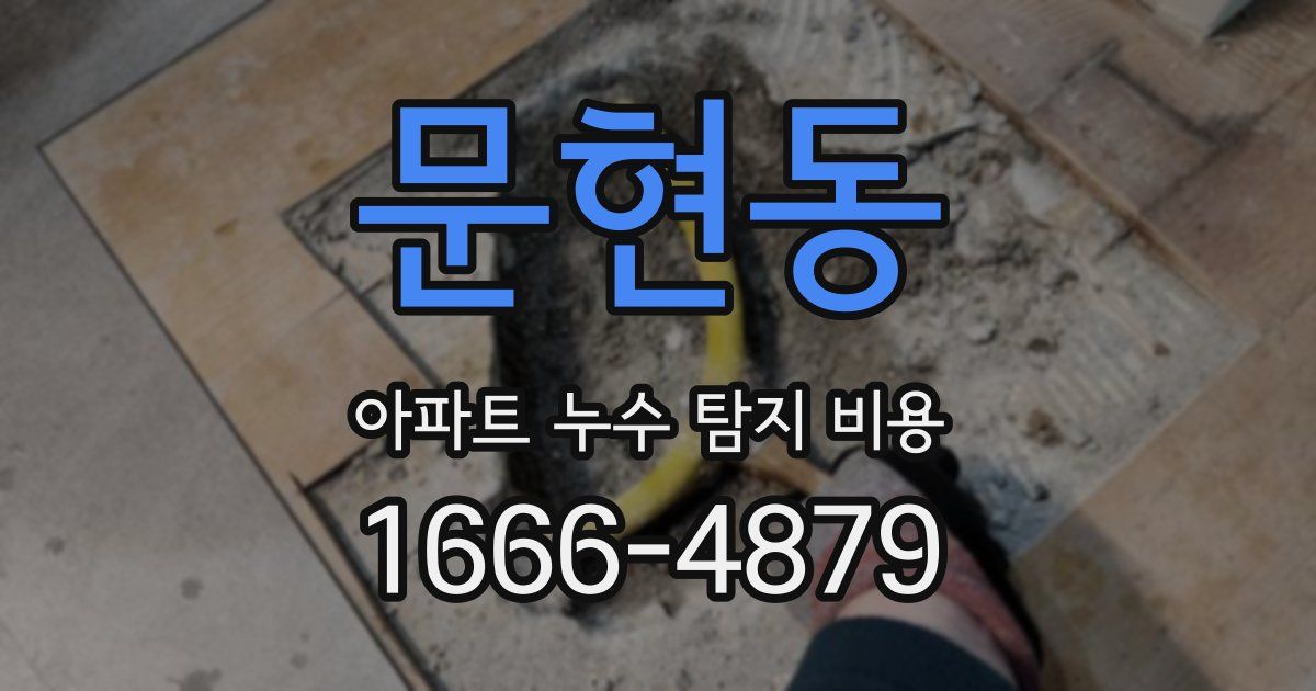 문현동 아파트 누수 탐지 비용