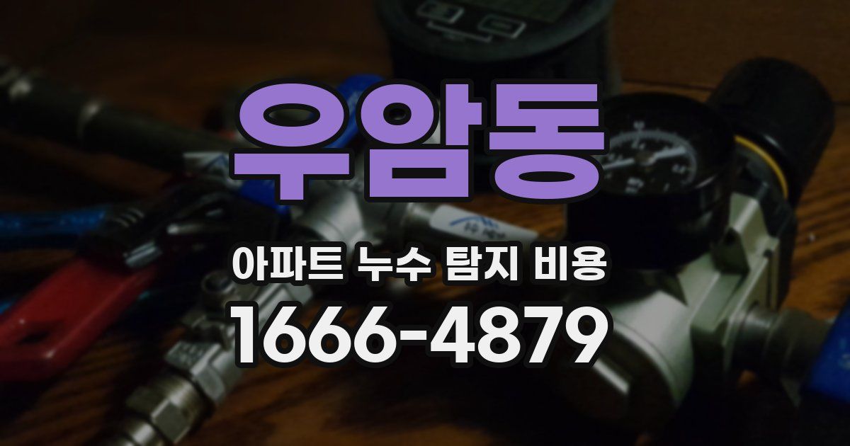 우암동 아파트 누수 탐지 비용