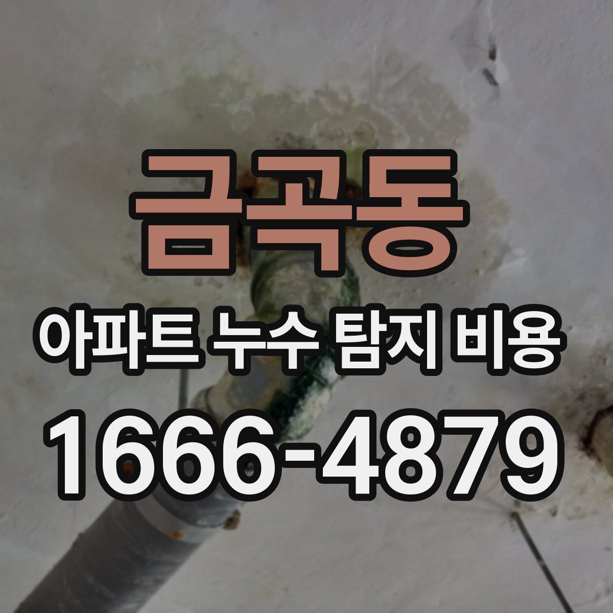 금곡동 아파트 누수 탐지 비용