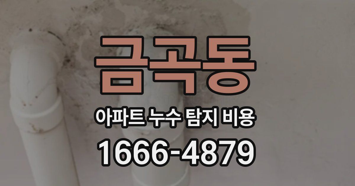 금곡동 아파트 누수 탐지 비용
