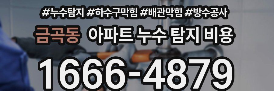 금곡동 아파트 누수 탐지 비용