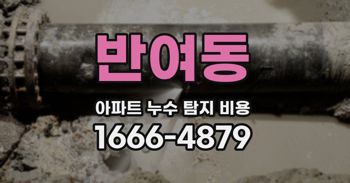 반여동 아파트 누수 탐지 비용