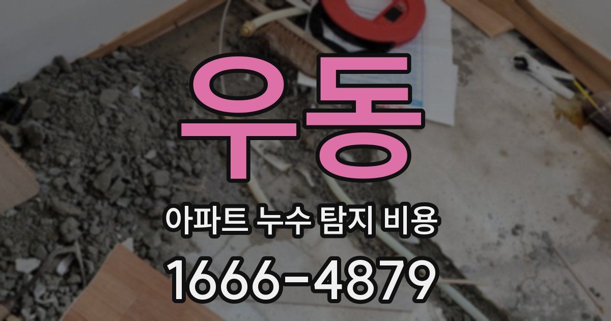 우동 아파트 누수 탐지 비용