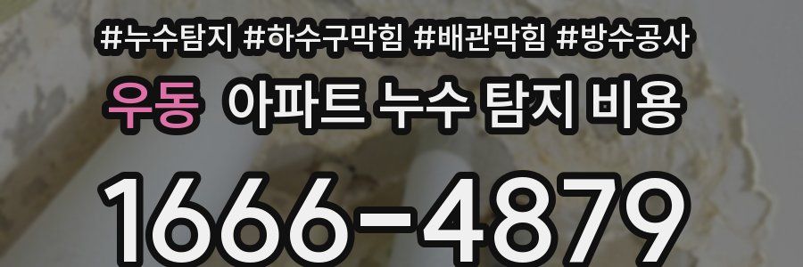 우동 아파트 누수 탐지 비용