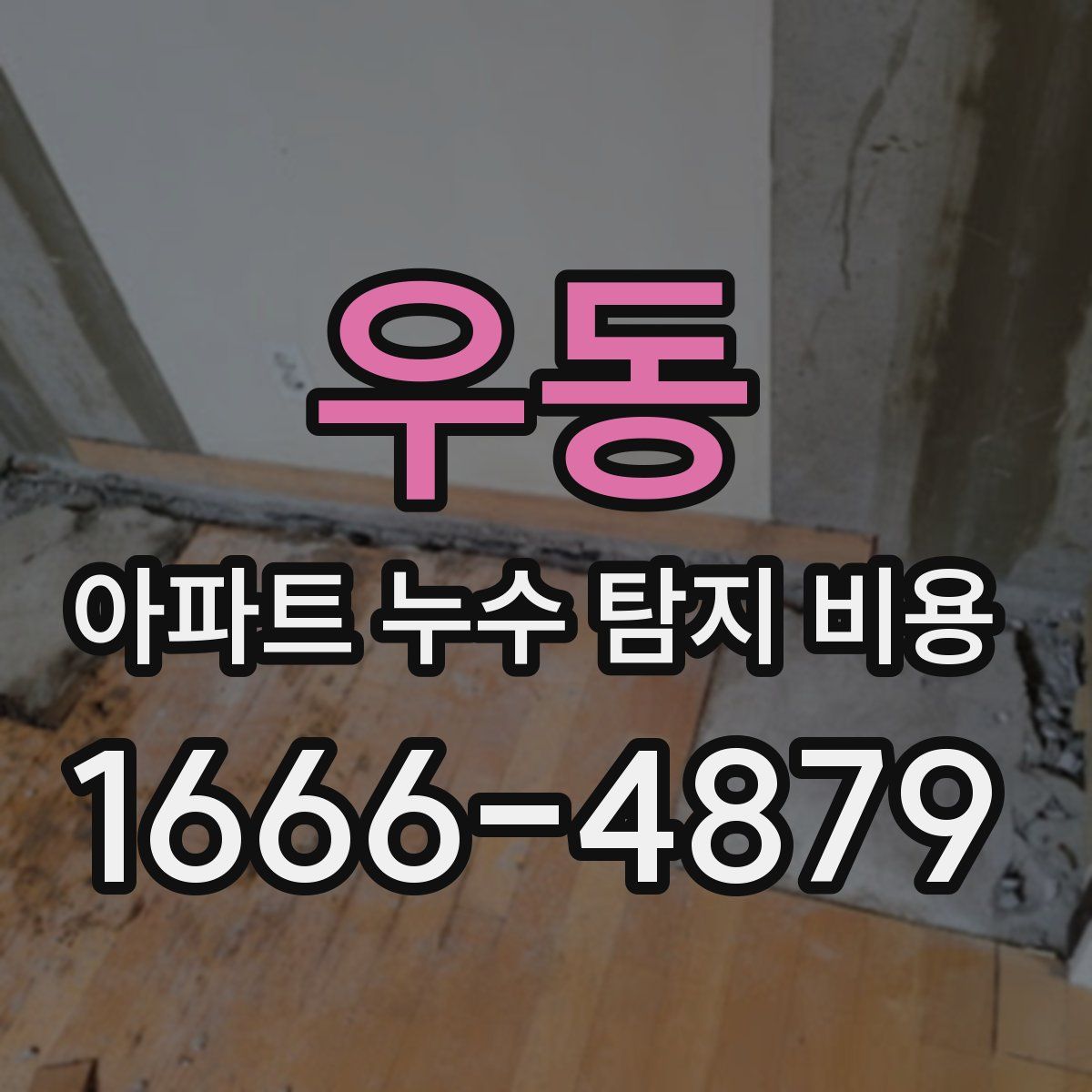 우동 아파트 누수 탐지 비용