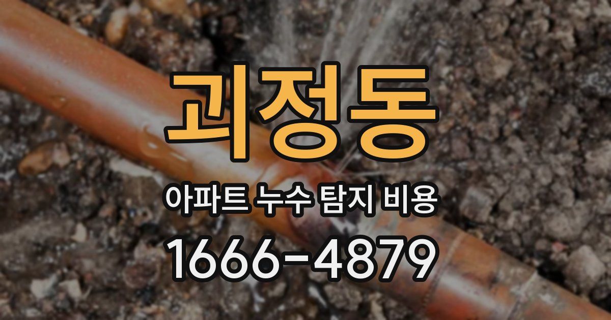 괴정동 아파트 누수 탐지 비용