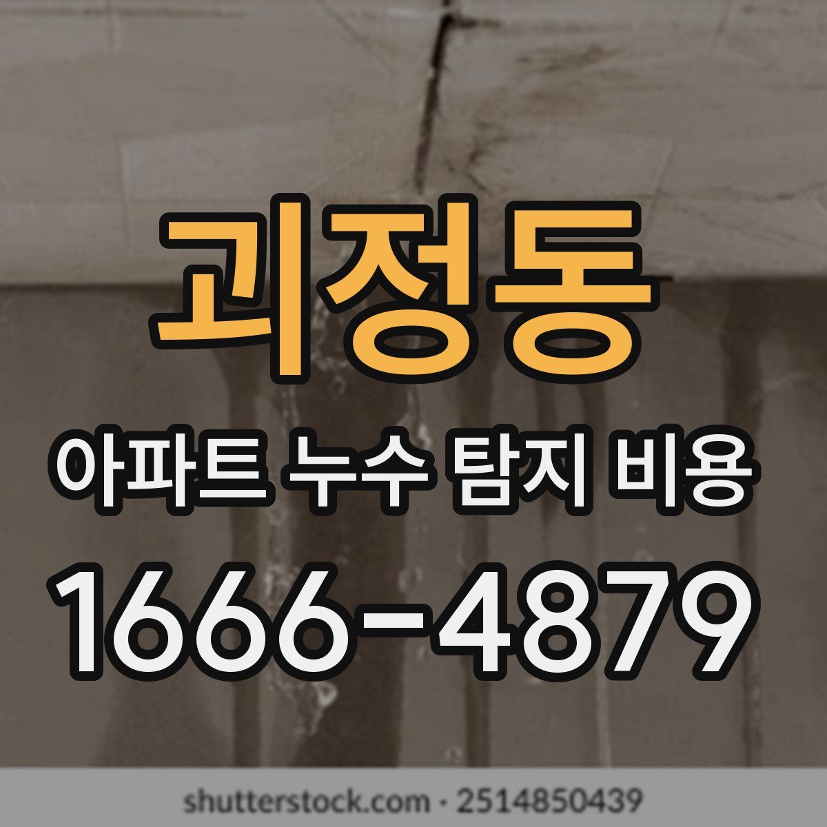 괴정동 아파트 누수 탐지 비용