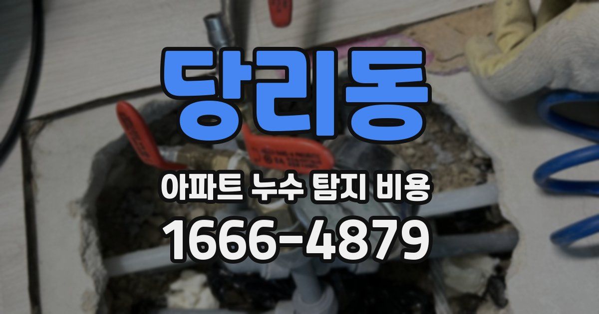 당리동 아파트 누수 탐지 비용
