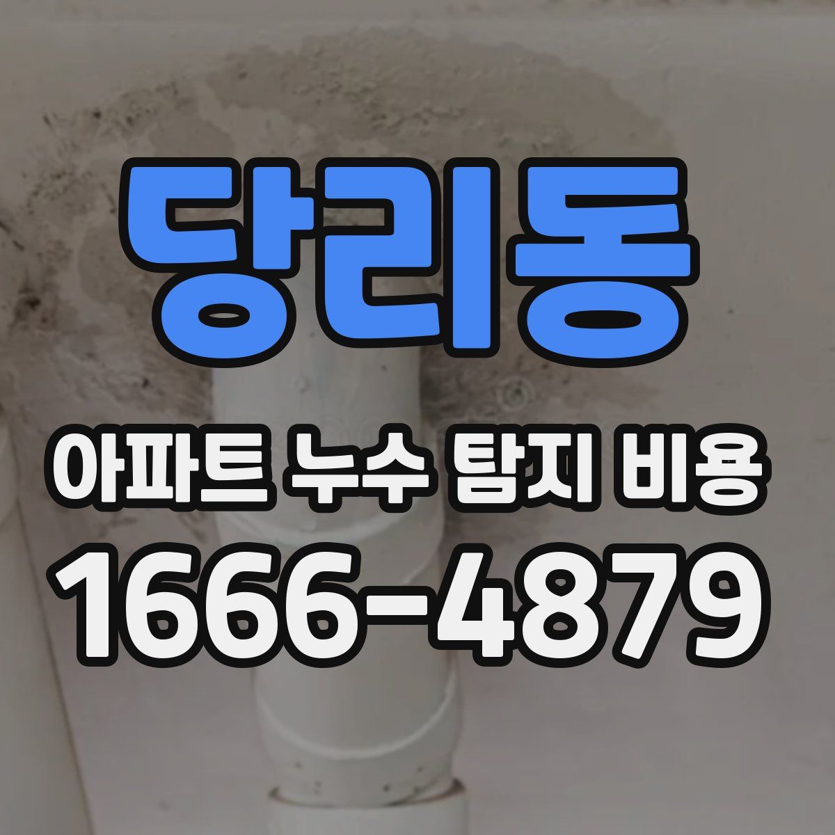 당리동 아파트 누수 탐지 비용
