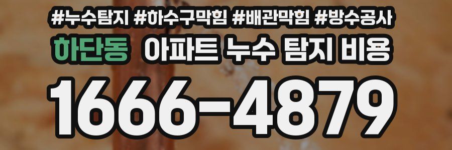 하단동 아파트 누수 탐지 비용