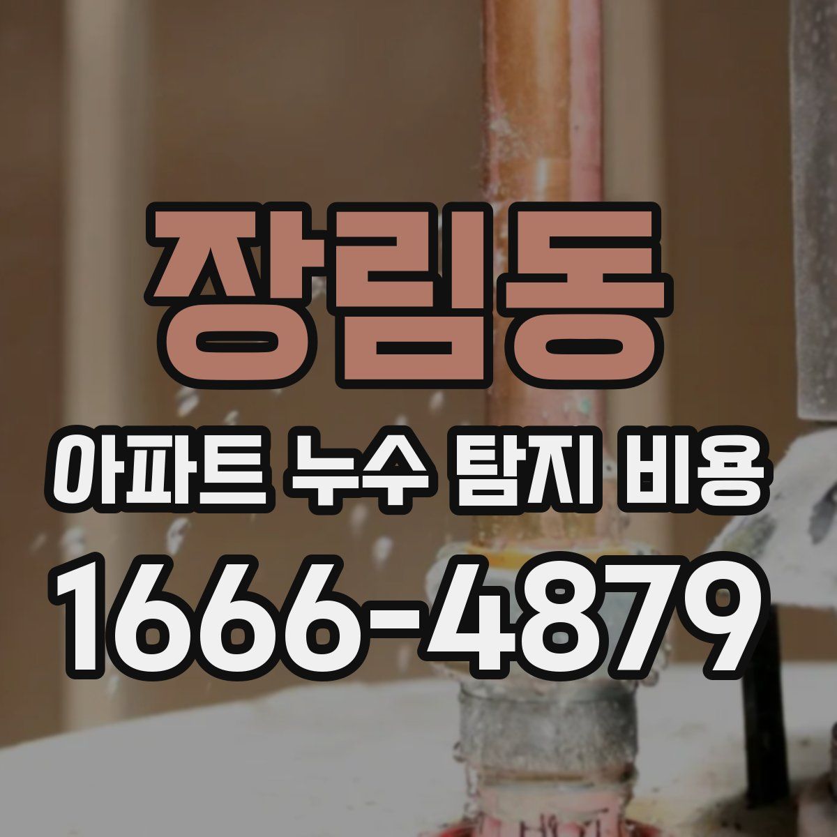 장림동 아파트 누수 탐지 비용