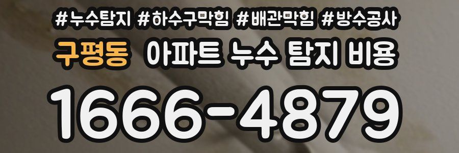 구평동 아파트 누수 탐지 비용
