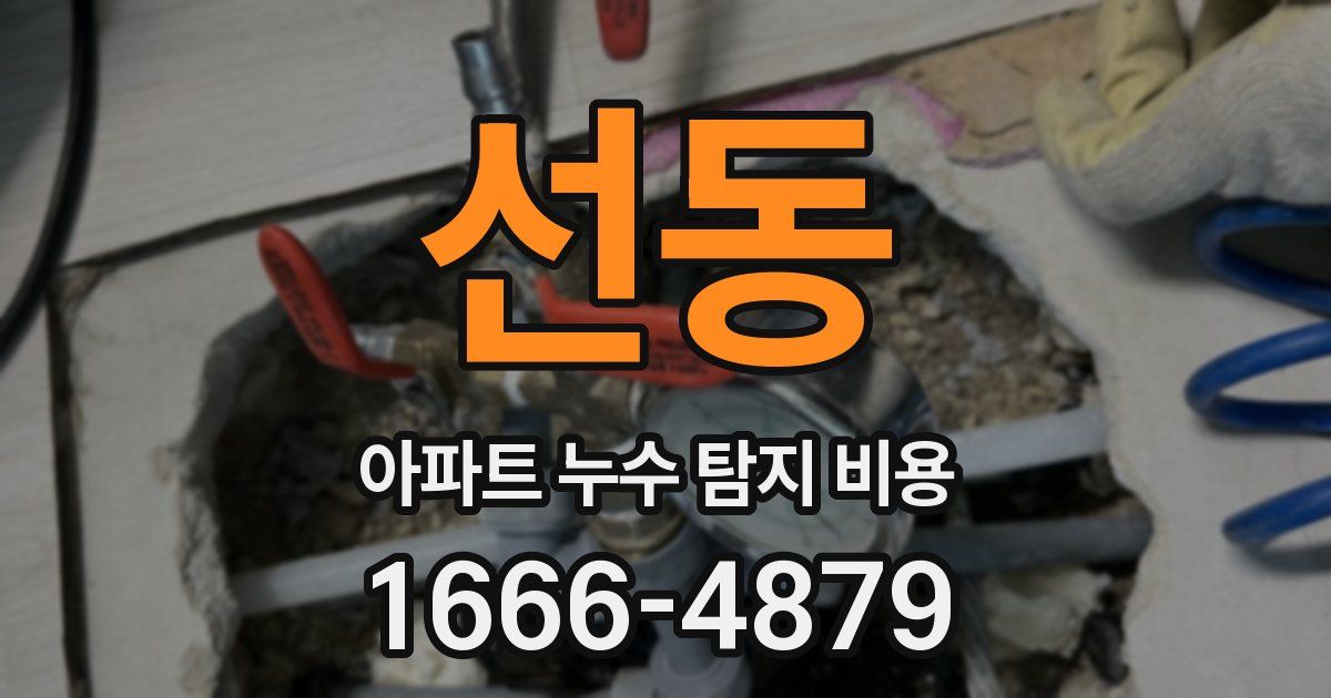 선동 아파트 누수 탐지 비용