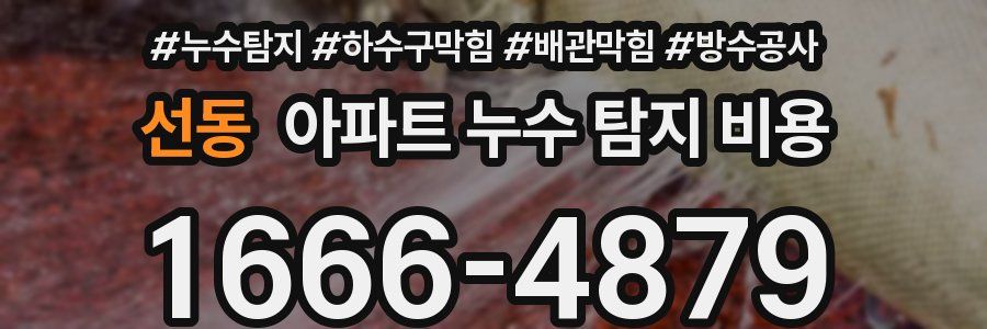 선동 아파트 누수 탐지 비용