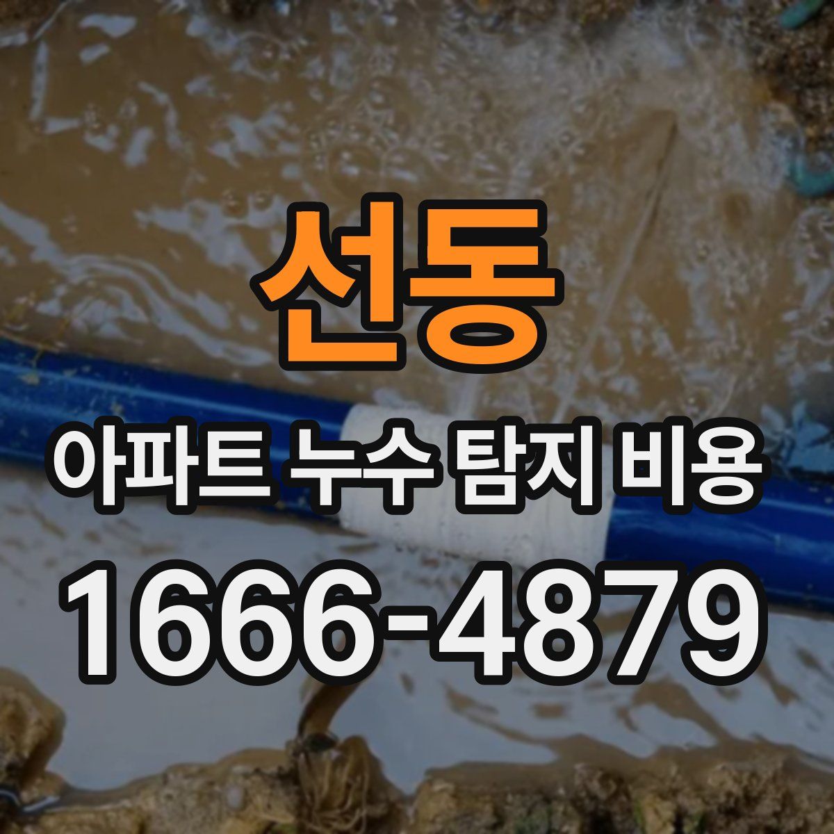 선동 아파트 누수 탐지 비용