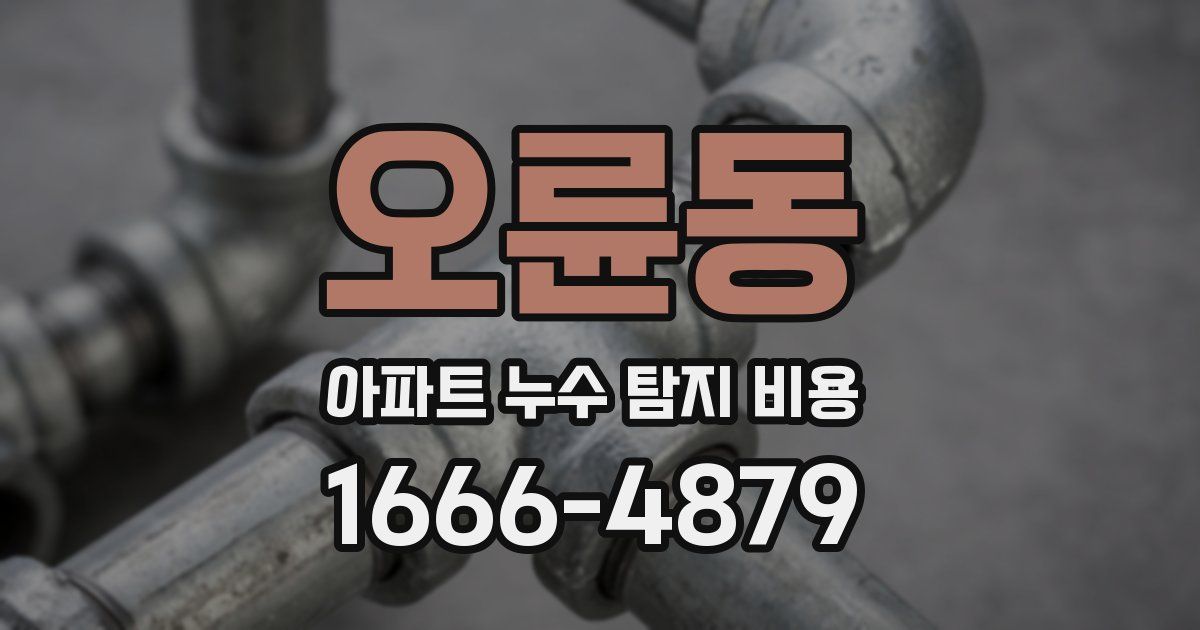 오륜동 아파트 누수 탐지 비용