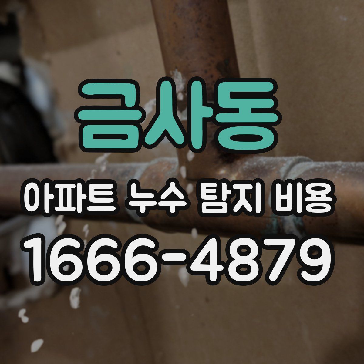금사동 아파트 누수 탐지 비용