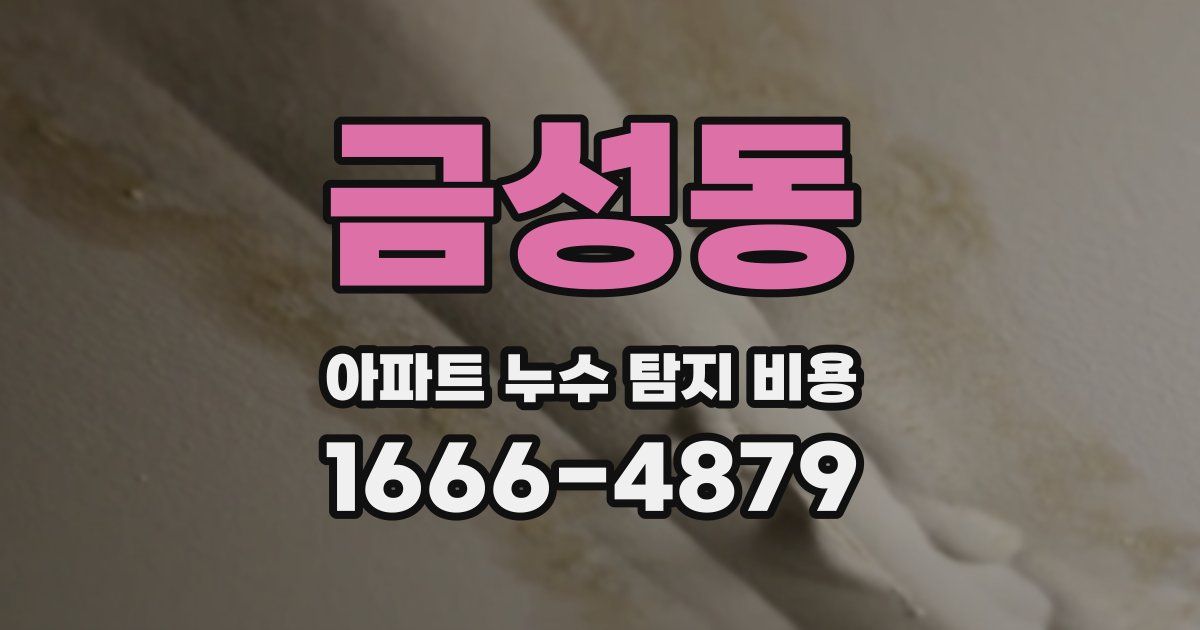 금성동 아파트 누수 탐지 비용