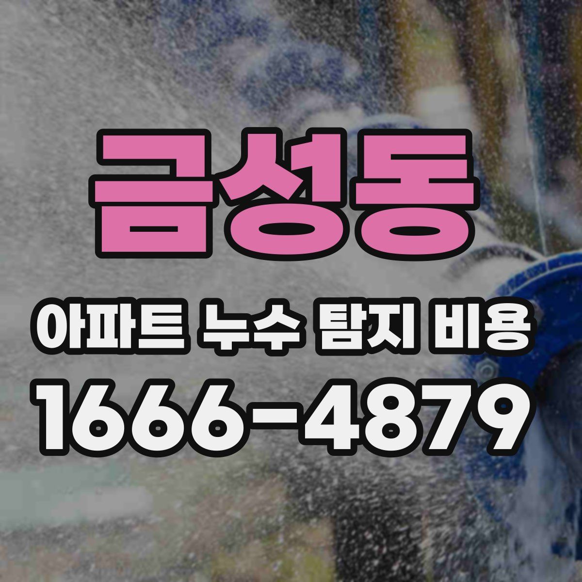 금성동 아파트 누수 탐지 비용